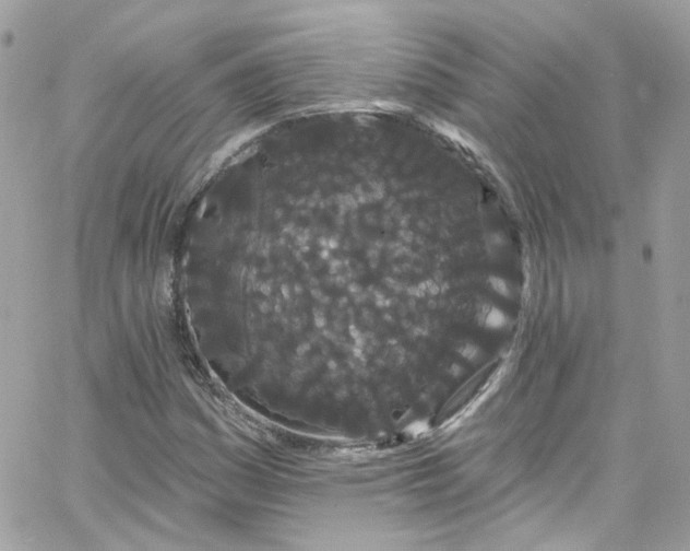 X0000066091161200603241449