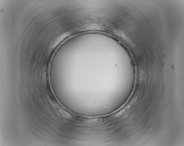 X0000066091162200603241449