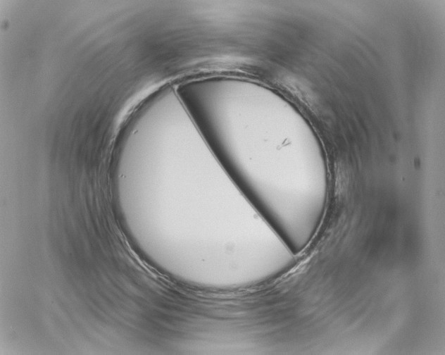 X0000066091164200603241449