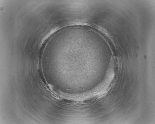 X0000066091165200603241449