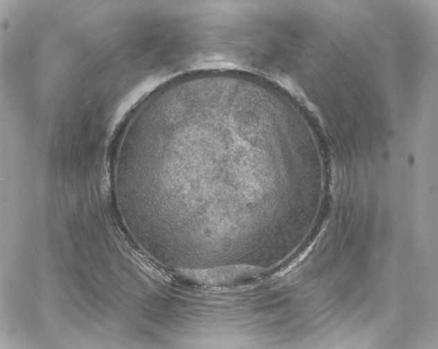 X0000066091167200603241449