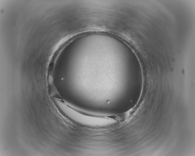 X0000066091168200603241449