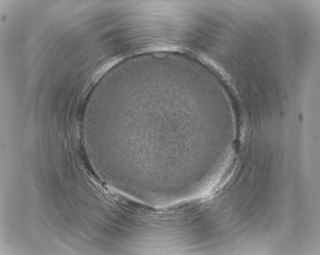 X0000066091169200603241449