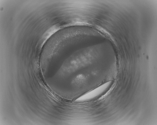 X0000066091170200603241449