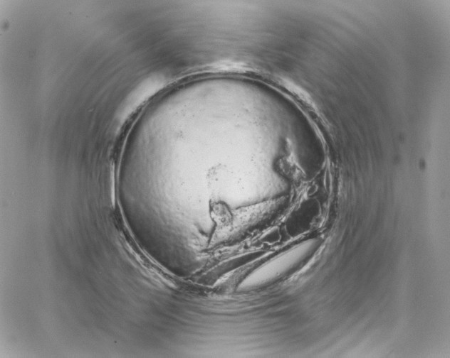 X0000066091171200603241449