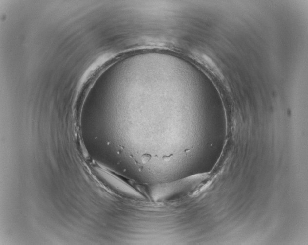 X0000066091172200603241449