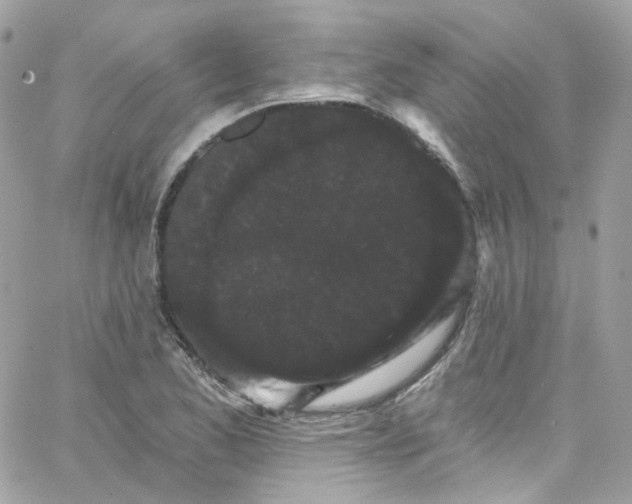 X0000066091173200603241449