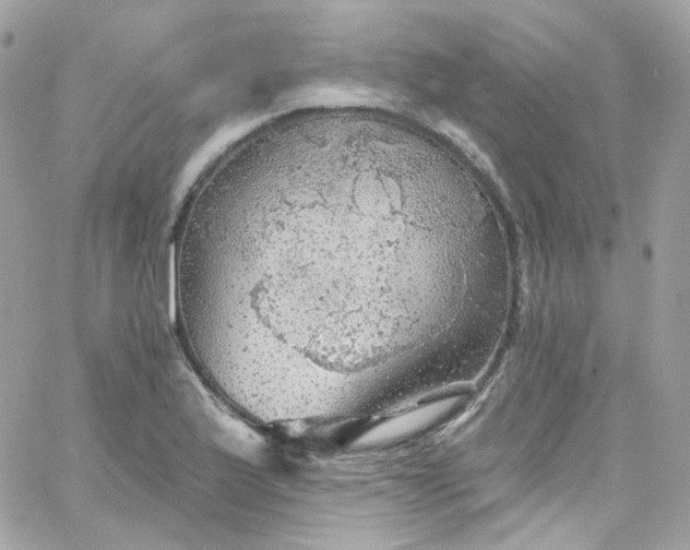 X0000066091175200603241449