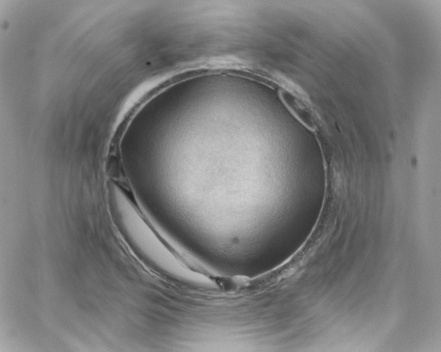 X0000066091176200603241449