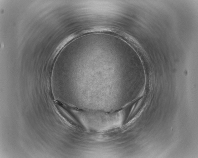 X0000066091177200603241449