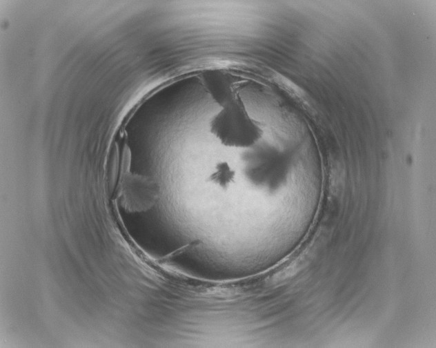 X0000066091178200603241449