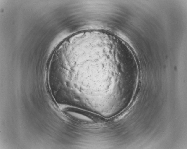 X0000066091179200603241449