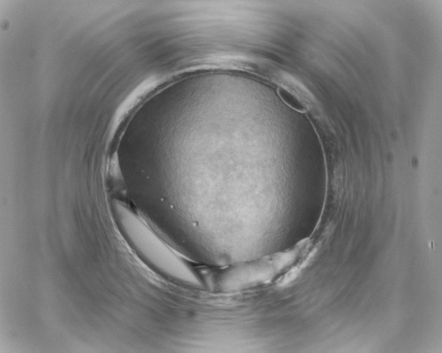 X0000066091180200603241449