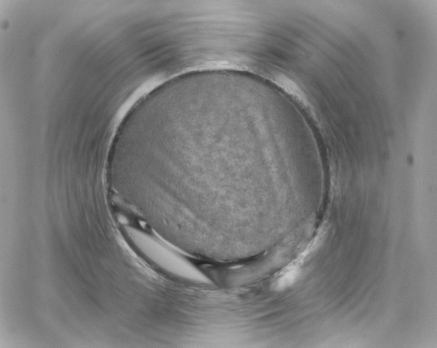 X0000066091181200603241449