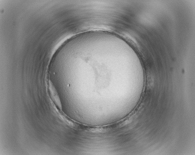 X0000066091182200603241449