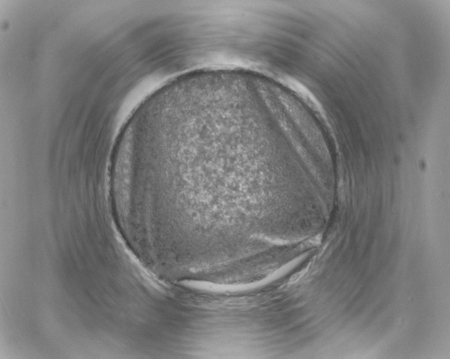 X0000066091183200603241449