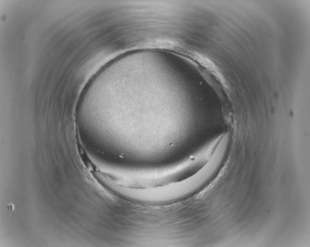 X0000066091184200603241449