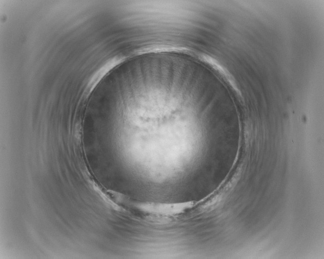 X0000066091185200603241449