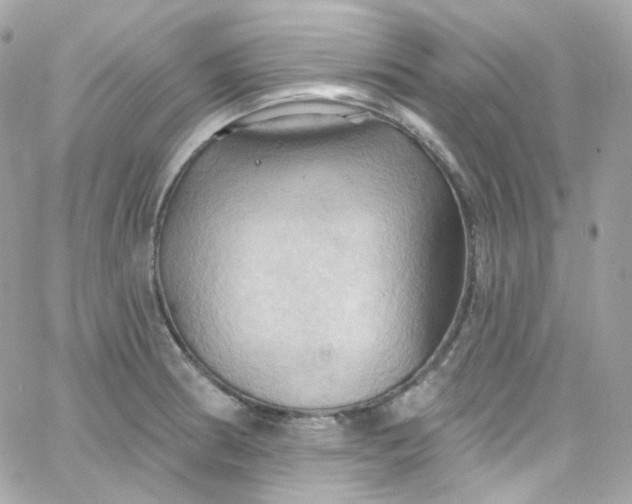 X0000066091186200603241449