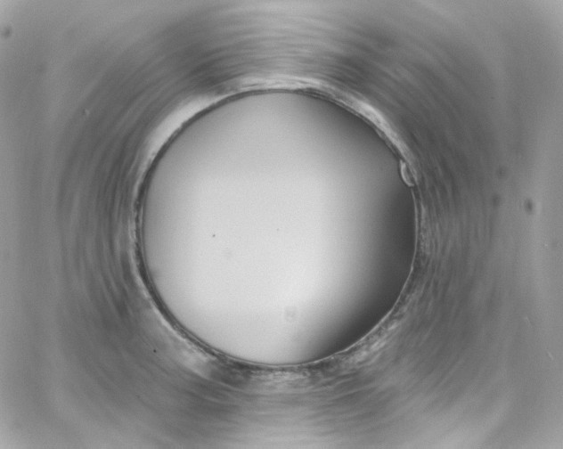 X0000066091187200603241449