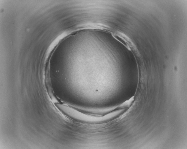 X0000066091188200603241449