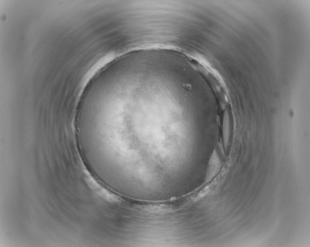 X0000066091189200603241449