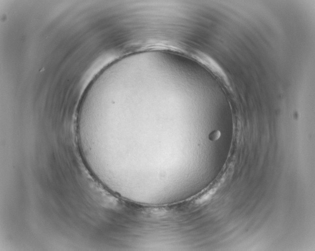 X0000066091190200603241449