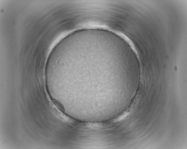 X0000066091191200603241449