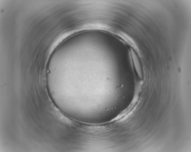 X0000066091192200603241449