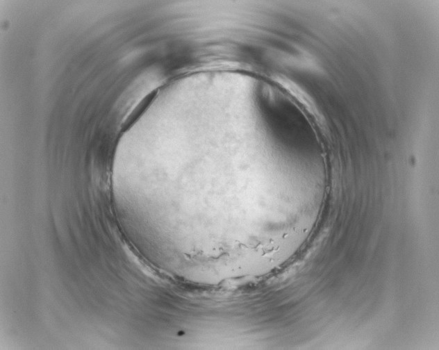 X0000066091193200603241449