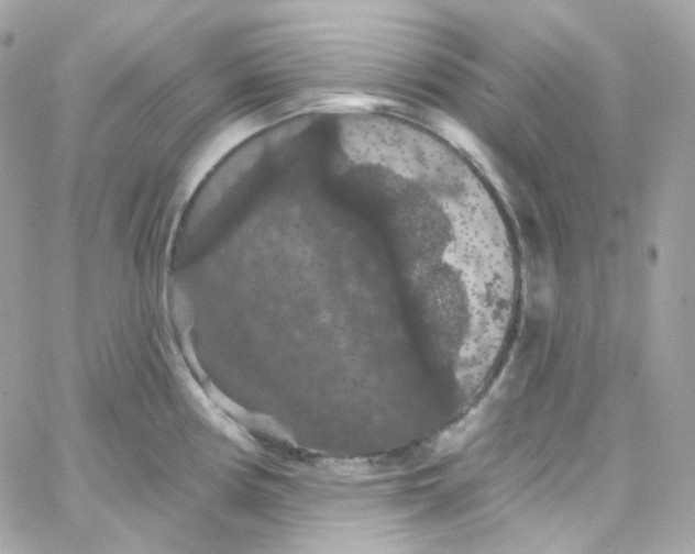 X0000066091194200603241449