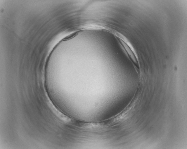 X0000066091195200603241449