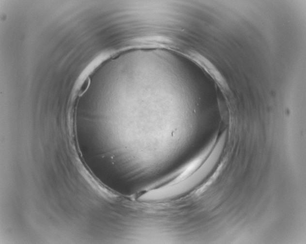 X0000066091196200603241449