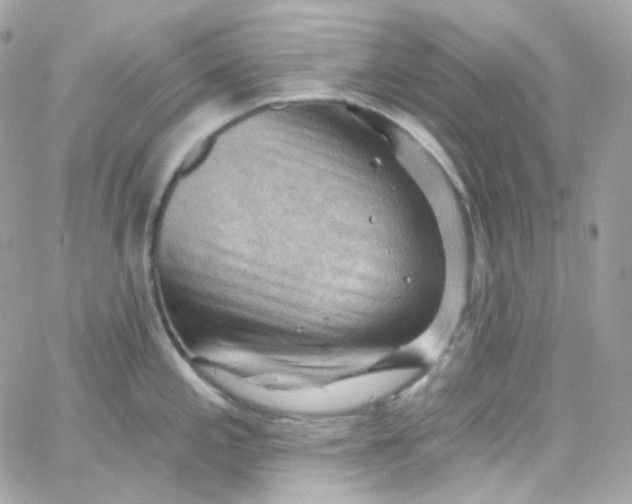 X0000066091197200603241449