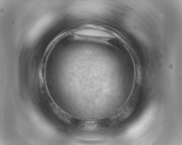 X0000066091198200603241449