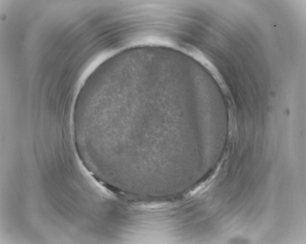 X0000066091199200603241449