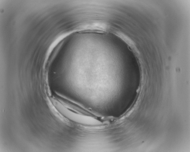 X0000066091200200603241449