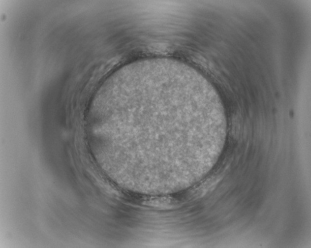 X0000066091201200603241448