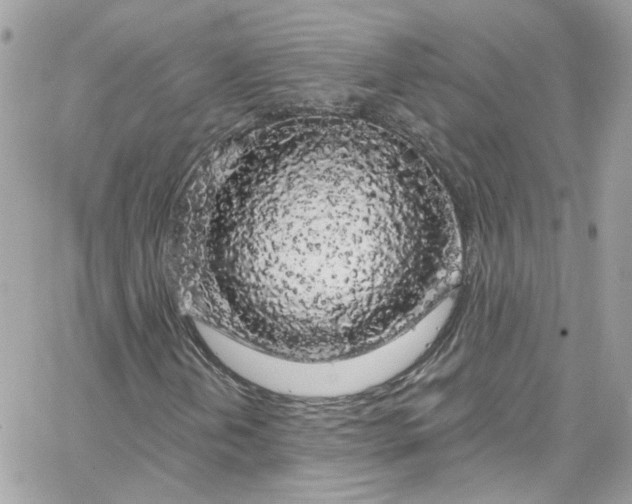 X0000066091202200603241448