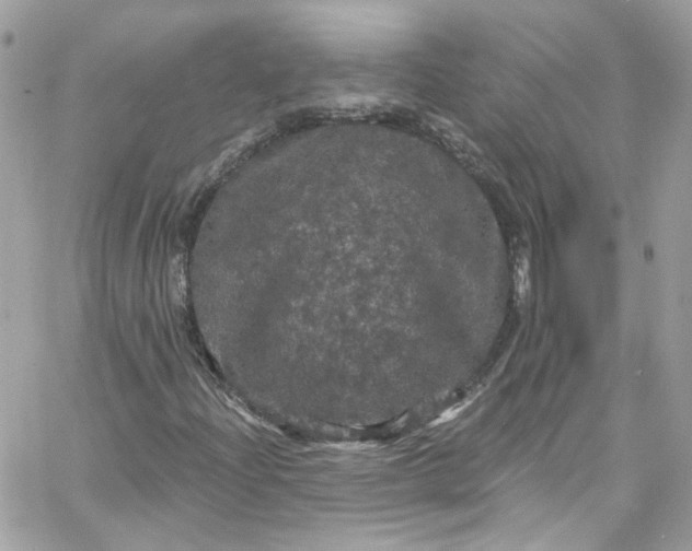 X0000066091204200603241448