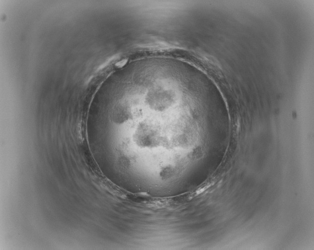 X0000066091205200603241448