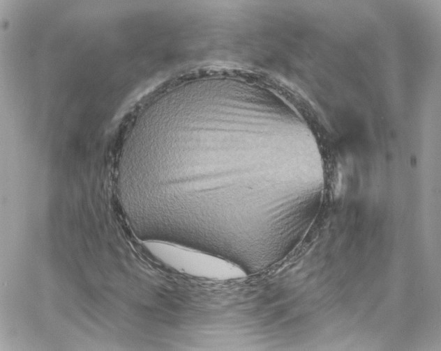 X0000066091207200603241448