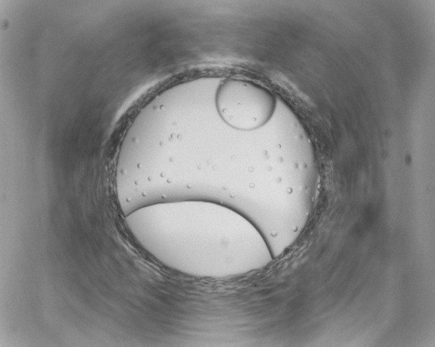 X0000066091208200603241448