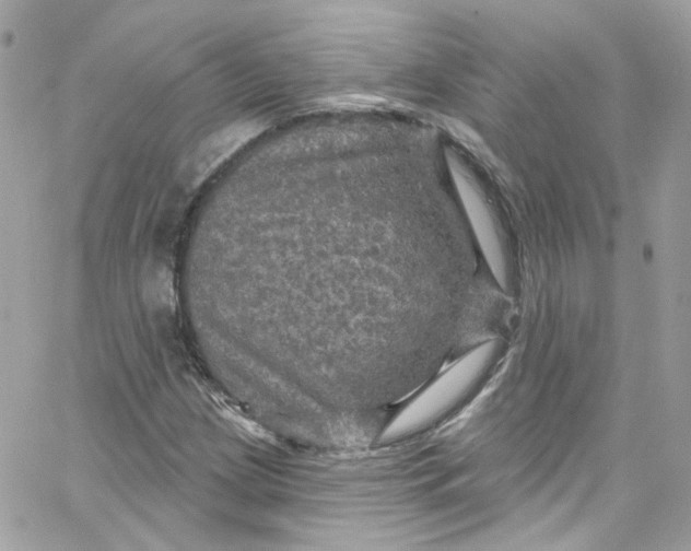 X0000066091209200603241448