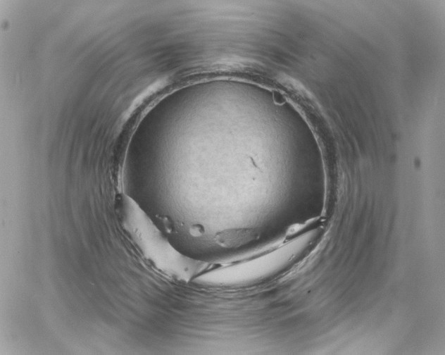 X0000066091210200603241448