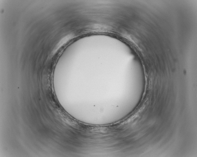 X0000066091211200603241448