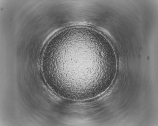 X0000066091212200603241448