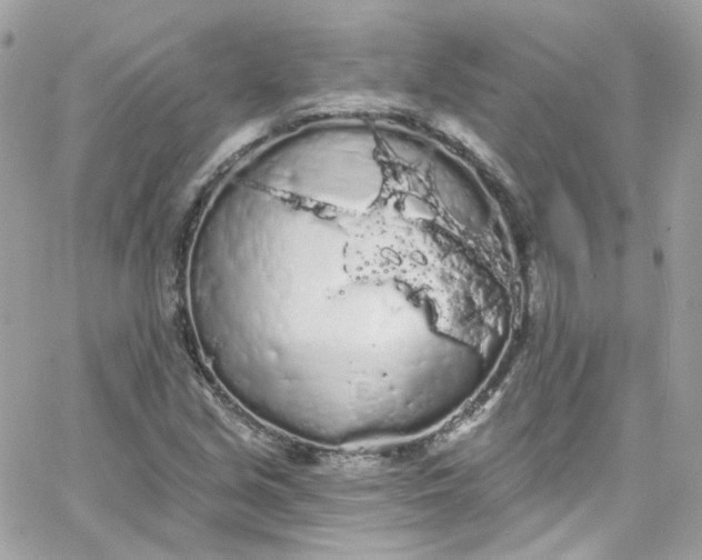 X0000066091213200603241448