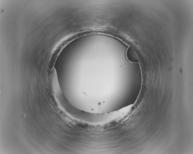 X0000066091214200603241448