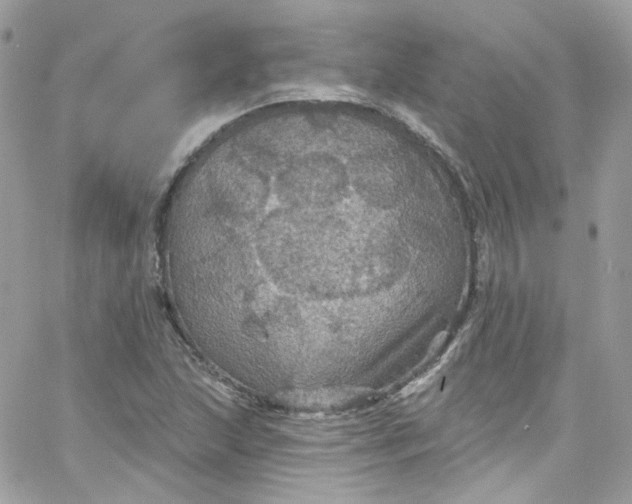 X0000066091215200603241448